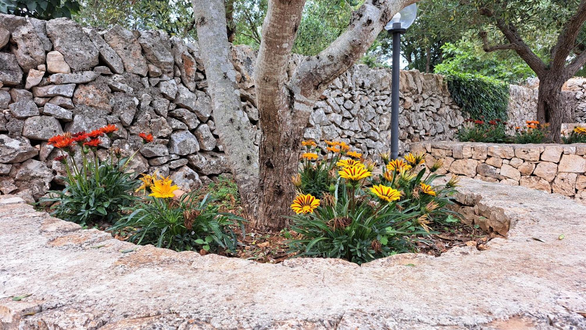 Willa Casolare Di Puglia Noci Zewnętrze zdjęcie